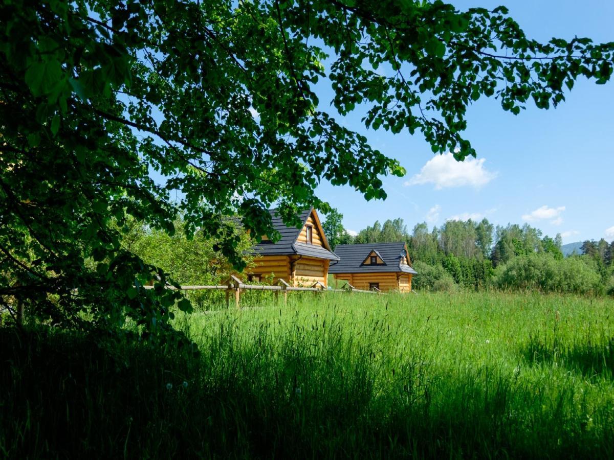 Domki,,Chatki Goralskie " Rabka-Zdrój Exterior photo